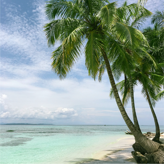 WLS Wanderlust: Travel Tips for a Healthy Holibob