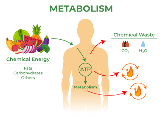 Maximise health and energy post-WLS. Here's how: